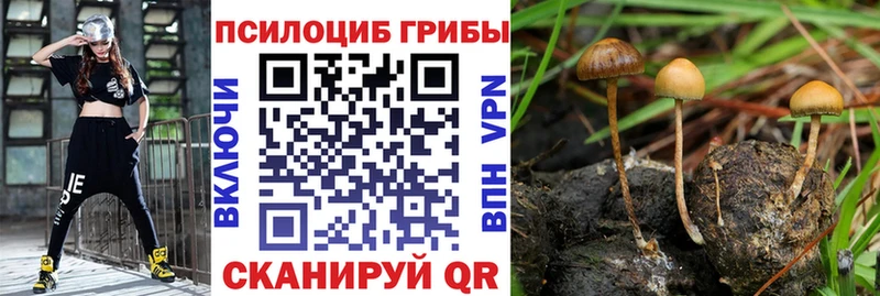 Псилоцибиновые грибы MAGIC MUSHROOMS Пошехонье